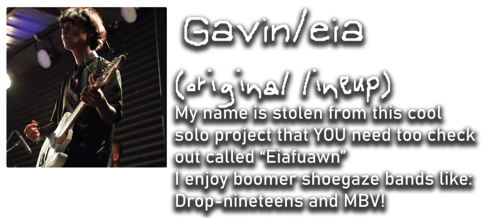 Gaviin